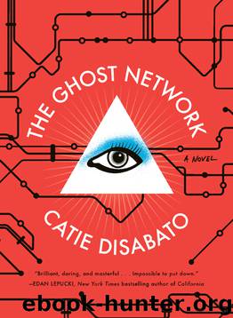 The Ghost Network by Catie Disabato