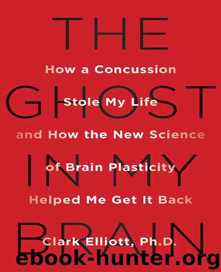 The Ghost in My Brain by Clark Elliott
