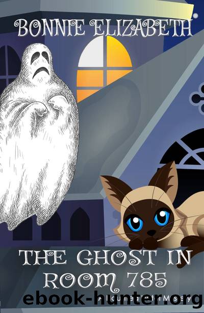 The Ghost in Room 785 by Bonnie Elizabeth