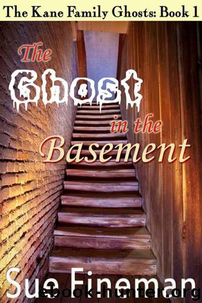 The Ghost in the Basement by Sue Fineman