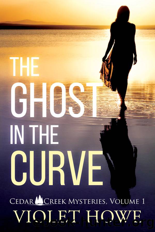 The Ghost in the Curve by Violet Howe