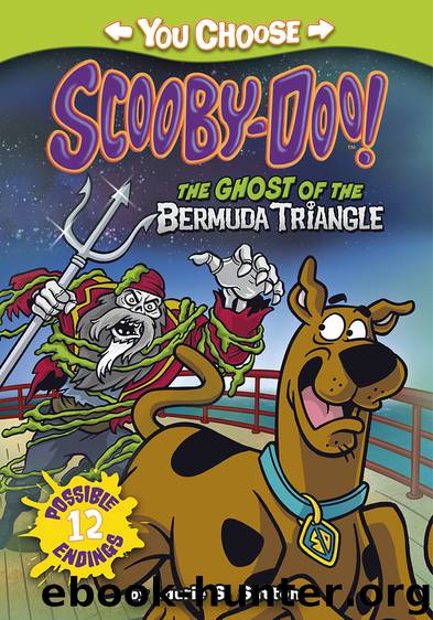 The Ghost of the Bermuda Triangle by Laurie S. Sutton