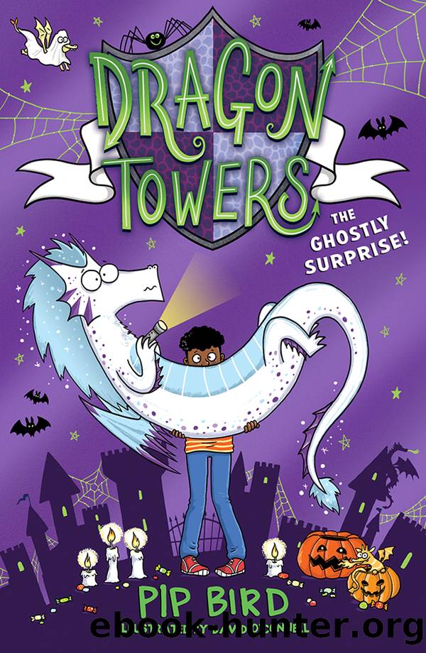 The Ghostly Surprise by Pip Bird