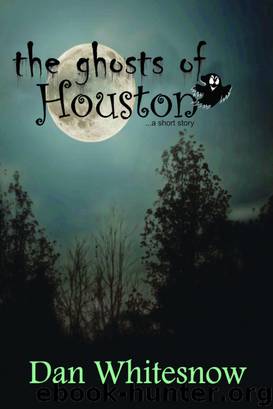 The Ghosts of Houston by Dan Whitesnow