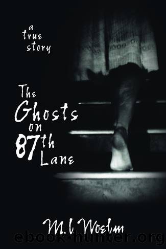 The Ghosts on 87th Lane by M.L. Woelm