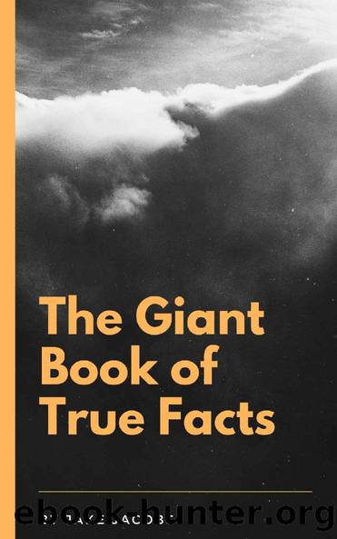 The Giant Book Of True Facts (The Big Book Of Facts 16) by Jake Jacobs
