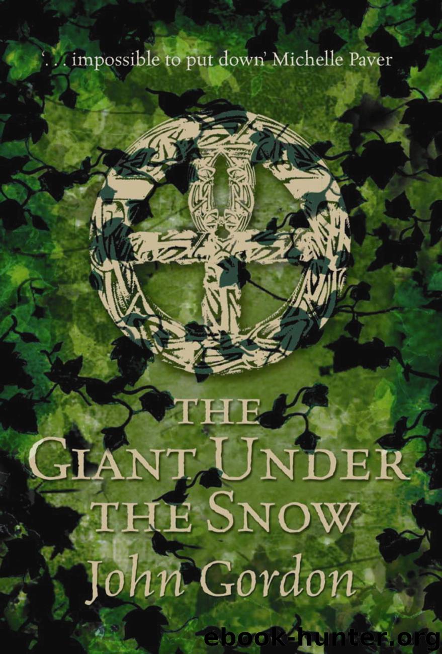 The Giant Under The Snow by Author