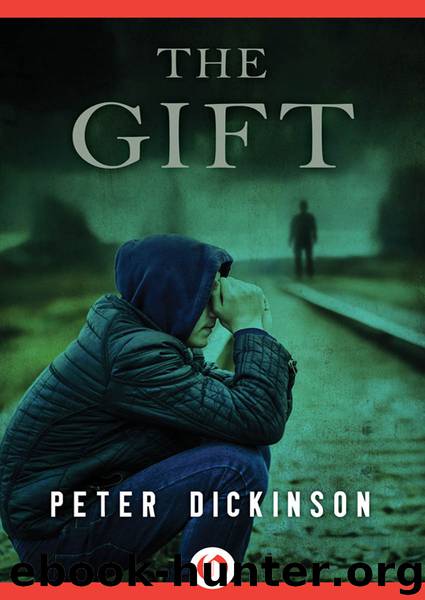 The Gift by Peter Dickinson