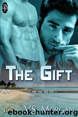 The Gift by V.S. Morgan