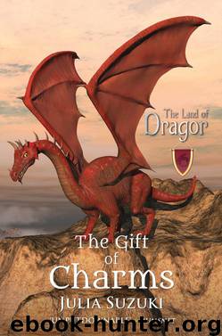 The Gift of Charms by Julia Suzuki
