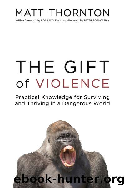 The Gift of Violence by Matt Thornton