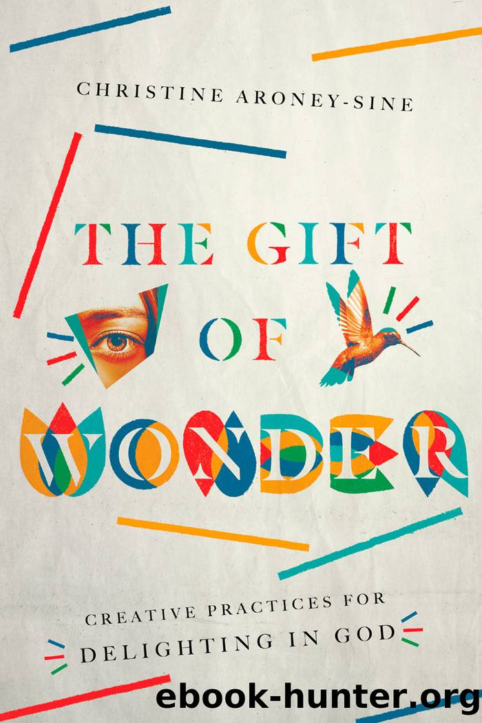 The Gift of Wonder by Christine Aroney-Sine