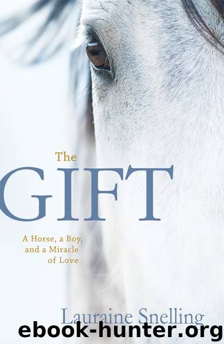 The Gift: A Horse, a Boy, and a Miracle of Love by Lauraine Snelling