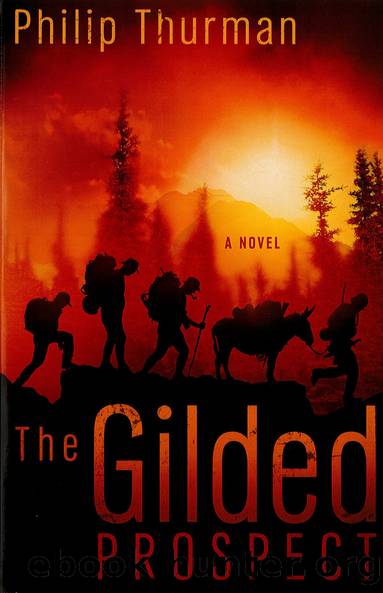 The Gilded Prospect by Philip Thurman