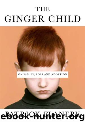 The Ginger Child by Patrick Flanery