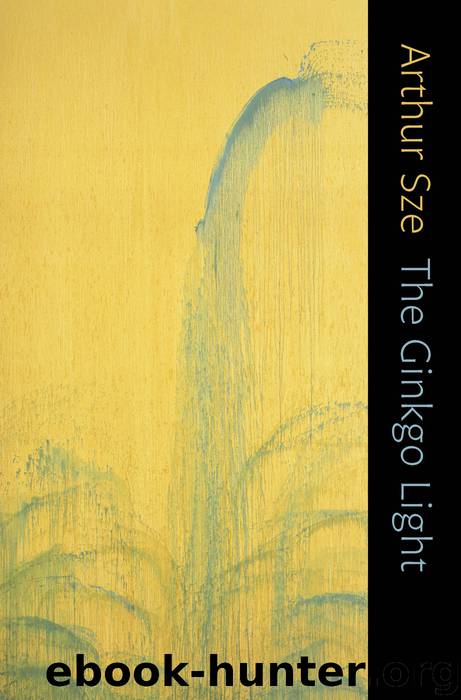 The Ginkgo Light by Sze Arthur