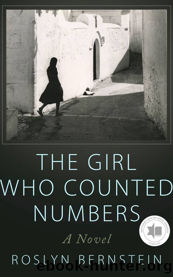 The Girl Who Counted Numbers: A Novel (New Jewish Fiction) by Bernstein Roslyn