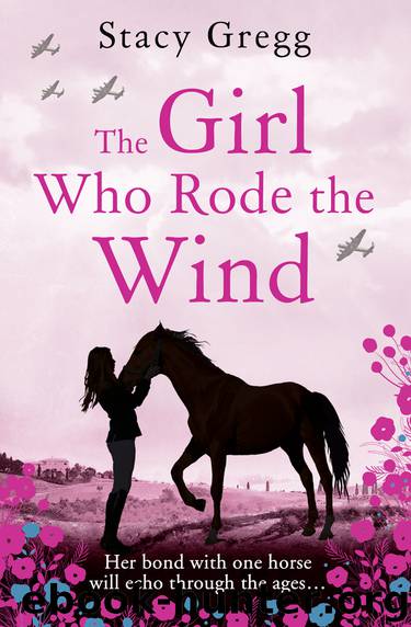 The Girl Who Rode the Wind by Stacy Gregg
