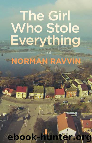 The Girl Who Stole Everything by Norman Ravvin