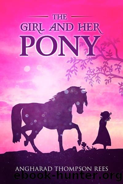 The Girl and her Pony: Magical Adventures & Pony Tales Book 3 by Angharad Thompson Rees