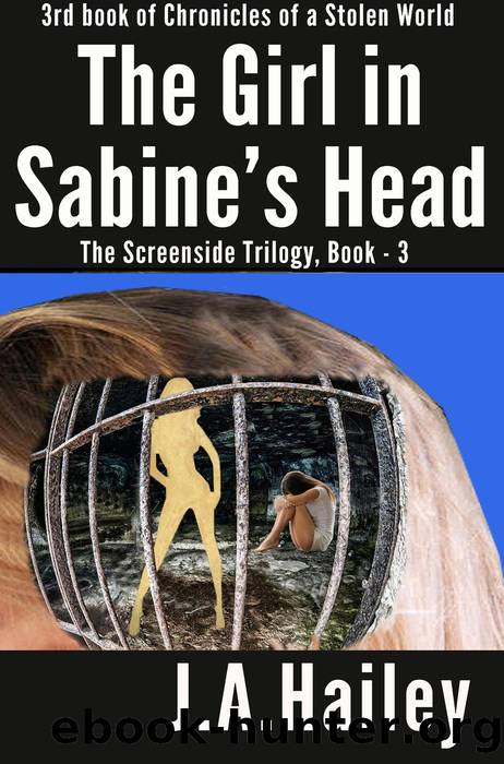 The Girl in Sabine's Head, the Screenside Trilogy, Book--3 by J. A. Hailey