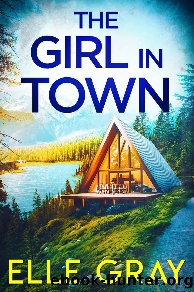 The Girl in Town (A Chesapeake Valley Mystery Book 1) by Elle Gray