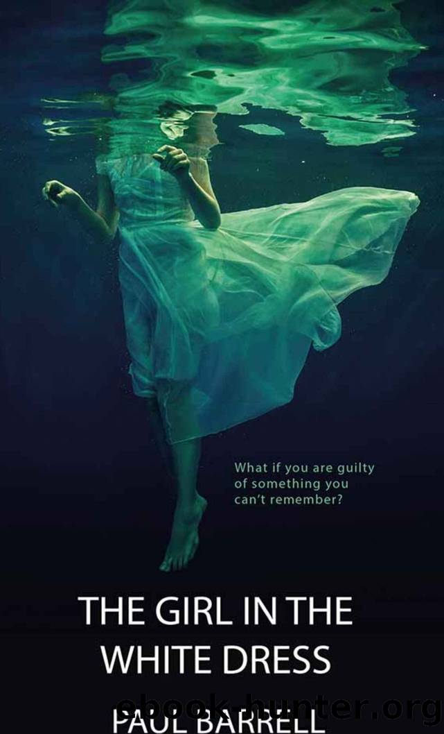The Girl in the White Dress by Paul Barrell