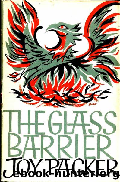 The Glass Barrier by Packer Joy