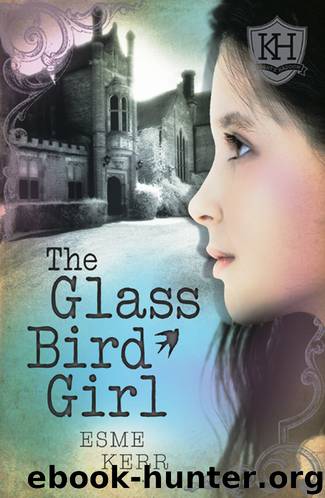 The Glass Bird Girl by Esme Kerr