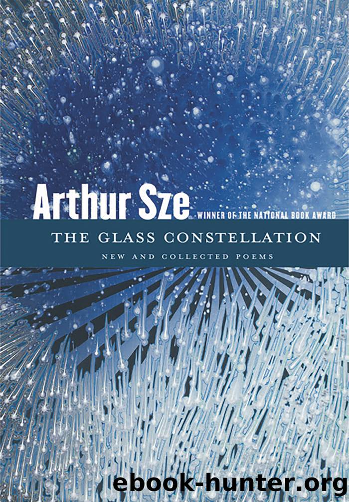 The Glass Constellation by Arthur Sze