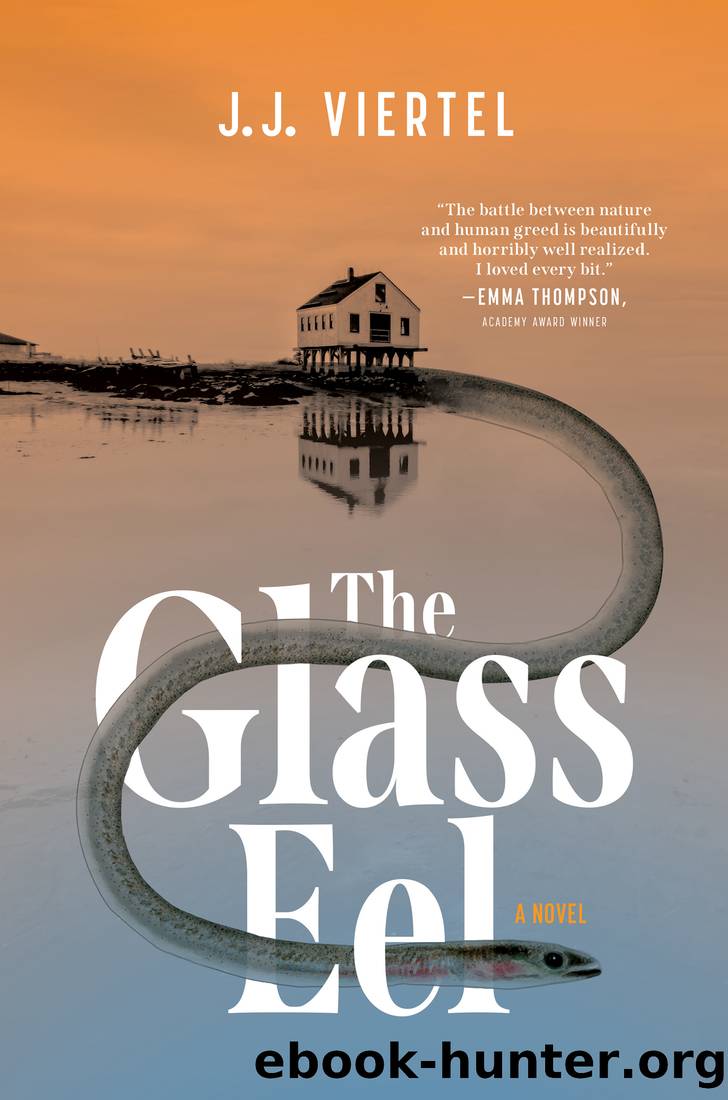 The Glass Eel by J. J. Viertel