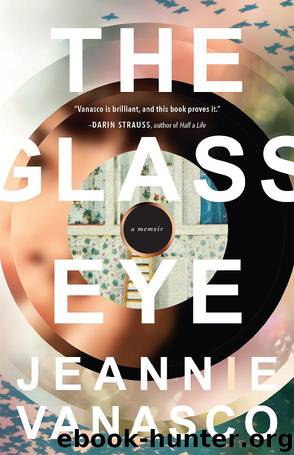 The Glass Eye by Jeannie Vanasco