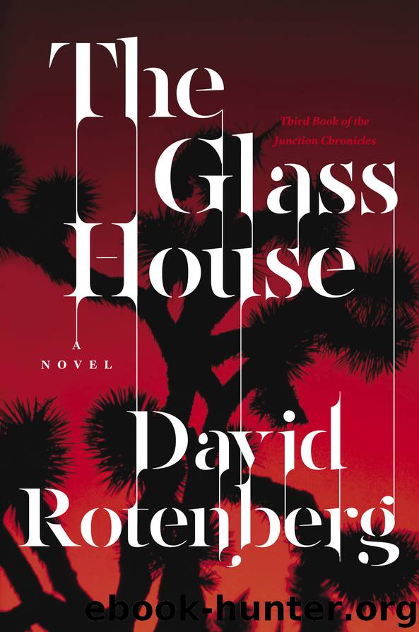 The Glass House by David Rotenberg