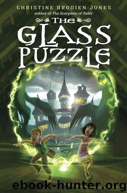 The Glass Puzzle by Christine Brodien-Jones