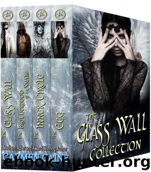 The Glass Wall Collection by Carmen Caine
