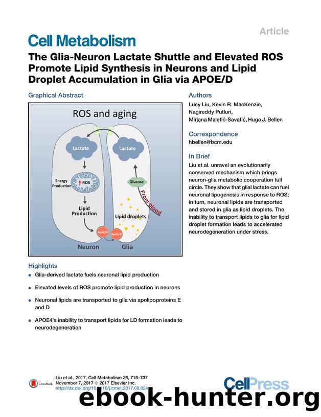 The Glia-Neuron Lactate Shuttle and Elevated ROS Promote Lipid Synthesis in Neurons and Lipid Droplet Accumulation in Glia via APOED by Lucy Liu & Kevin R. MacKenzie & Nagireddy Putluri & Mirjana Maletić-Savatić & Hugo J. Bellen