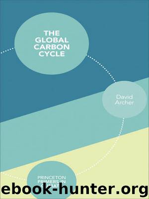 The Global Carbon Cycle by Archer David;