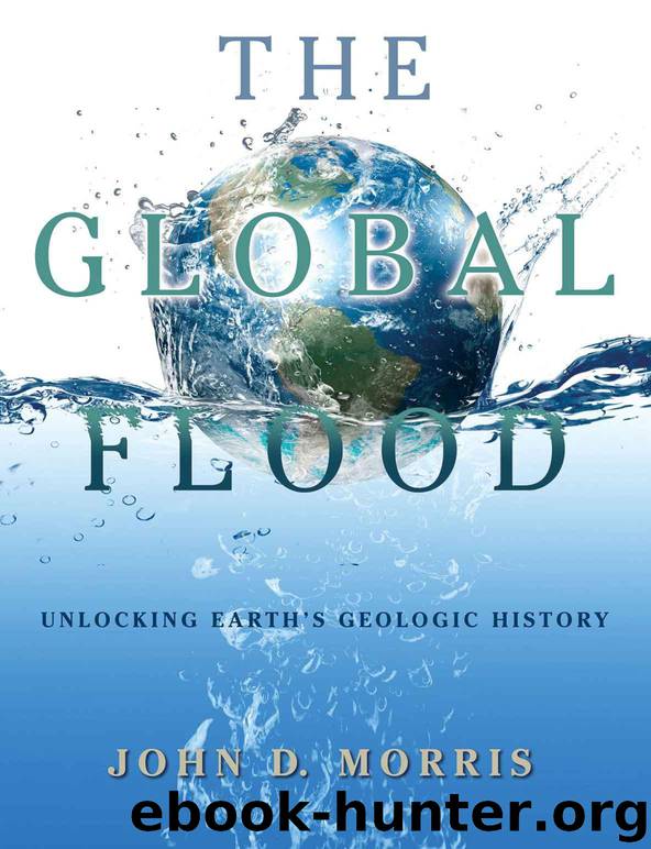The Global Flood: Unlocking Earth's Geologic History by Morris John D