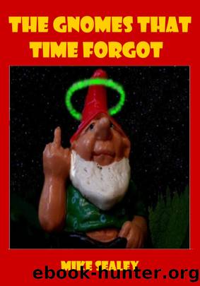 The Gnomes That Time Forgot by Mike Sealey