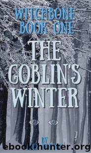 The Goblin's Winter by Alex Norton