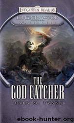 The God Catcher: Ed Greenwood Presents Waterdeep by Erin M. Evans