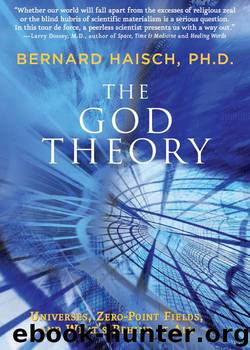 The God Theory by Bernard Haisch