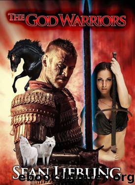 The God Warriors by Sean Liebling