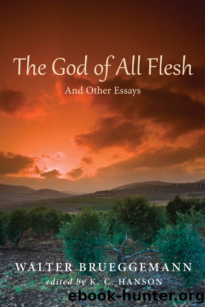 The God of All Flesh by Brueggemann Walter;Hanson K. C.;