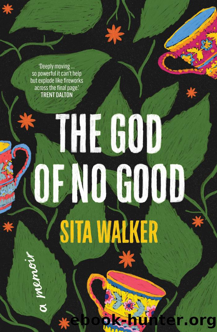 The God of No Good by Sita Walker