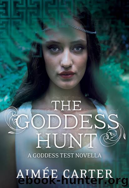The Goddess Hunt by Aimée Carter