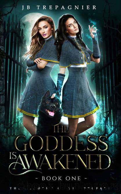 The Goddess is Awakened: A Paranormal Why Choose Romance (The Academy of the Profane Book 1) by JB Trepagnier