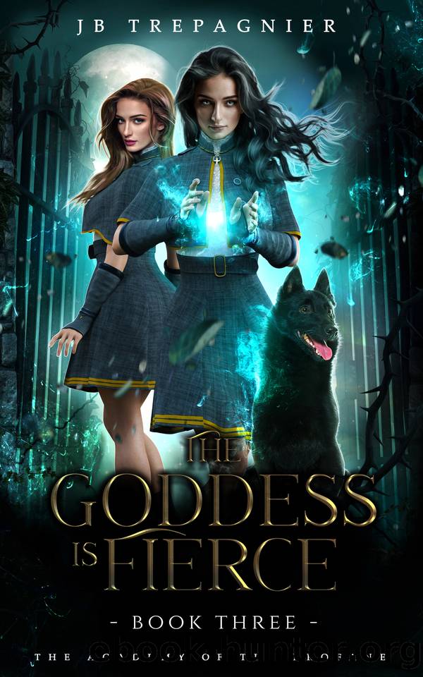 The Goddess is Fierce: A Paranormal Academy Why Choose Romance by JB Trepagnier