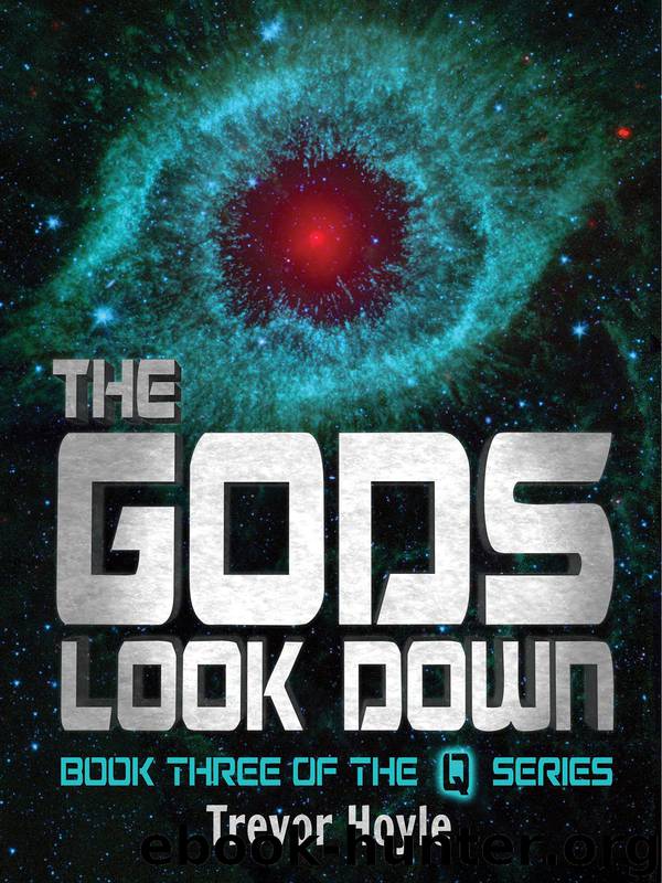 The Gods Look Down by Trevor Hoyle