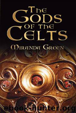 The Gods of the Celts by Green Miranda